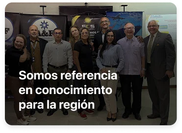 Grupo de Aliados de soy Logistica